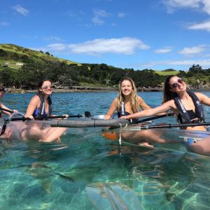 a group of people swimming in the water