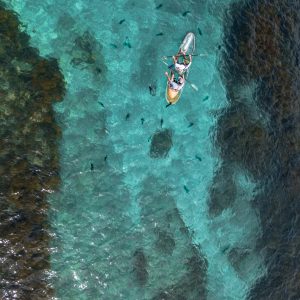two persons rowing a boat over fish in the ocean