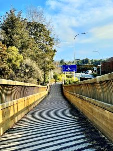 Matakana Bridge