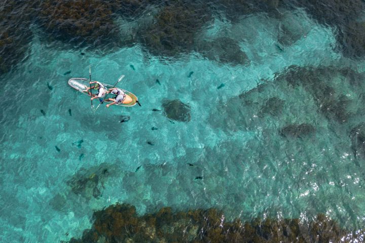 people in a clear kayak at goat island marine reserve