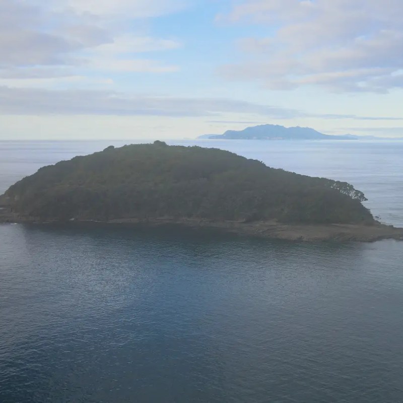 Drone photo of Goat Island