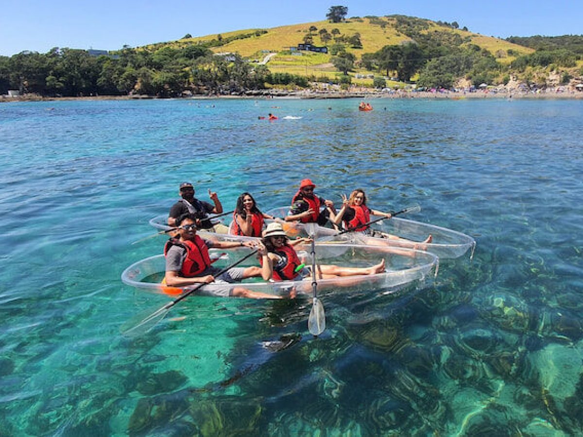a group of people swimming in a body of water